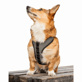 K9 Sport Harness (Color: Shark Skin Gray, size: Small (13-15" Neck 13-18" Chest))