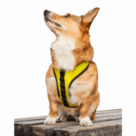 K9 Sport Harness (Color: Buttercup Yellow, size: Medium (15-17" Neck 15-21" Chest))