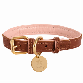 Dog Collar (Color: Bella Rose, size: medium)