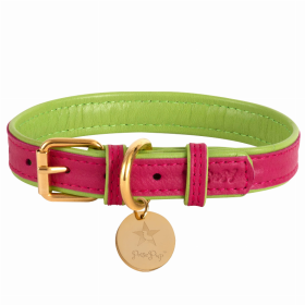 Dog Collar (Color: Candy Swirl, size: medium)