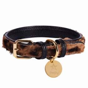 Dog Collar (Color: Wildest One, size: medium)