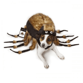 ZZ Fuzzy Tarantula Costume (Color: brown, size: Xsmall)