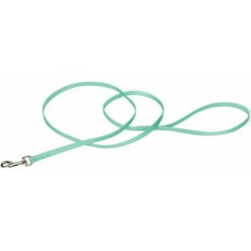 Coastal Pet Single (Option: ply Nylon Dog Leash Teal  4'L x 3/8"W)