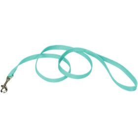 Coastal Pet Single (Option: ply Teal Nylon Dog Lead  6'L x 5/8"W)