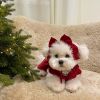 Christmas Pet Dress For Small Medium Dog; New Year Non-elastic Dog Dress ; Winter Pet Apparel