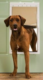 PetSafe Plastic Dog Door (Option: Extra Large)